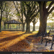 St Helena's Park - Dundalk