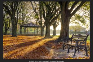 St Helena's Park - Dundalk (foto di Conor McEneaney)